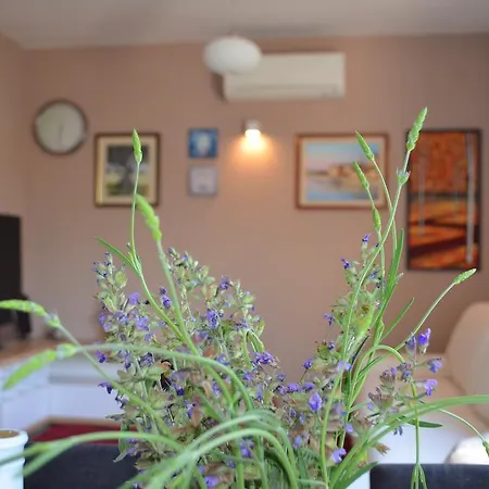 Holiday Manuela Holiday home